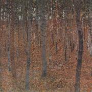 Gustav Klimt Beech Forest I (mk20) oil painting reproduction